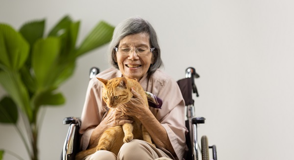 Pet therapy in dementia treatment on elderly woman.