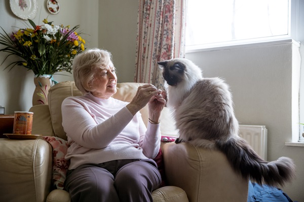 Senior woman sitting in her armchair with her pet cat. She is enjoying the company